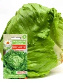 salata-great-lakes-krucha-lodowa-doskonaly-smak-2g