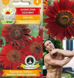 nasiona-sloneczniki-slonecznik-ozdobny-red-sun-2-g