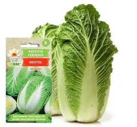 kapusta-pekinska-bristol-wczesna-1-g-toraf