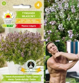 nasiona-tymianek-pospolity-03-g