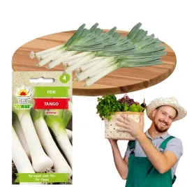 por-tango-tworzy-grube-lodygi-nasiona-premium