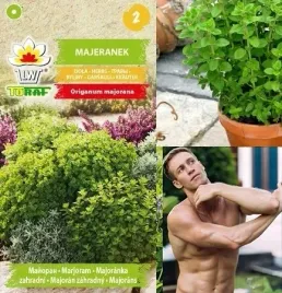 toraf-nasiona-ziola-majeranek-1-g