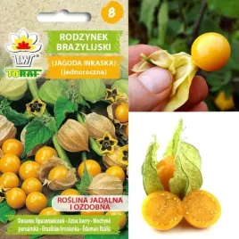 toraf-rodzynek-brazylijski-nasiona-warzyw-02g