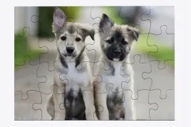 foto-puzzle-24-el-pies-03-prezent