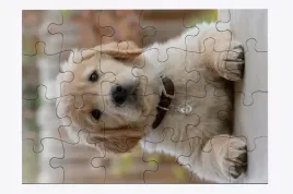 foto-puzzle-24-el-pies-05-prezent