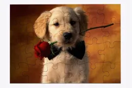 foto-puzzle-24-el-pies-06-prezent
