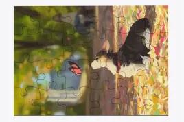 foto-puzzle-24-el-pies-11-prezent