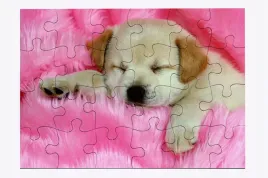 foto-puzzle-24-el-pies-08-prezent