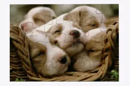 foto-puzzle-24-el-pies-04-prezent
