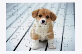 foto-puzzle-24-el-pies-09-prezent