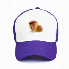 czapka-z-daszkiem-fioletowa-nosacz