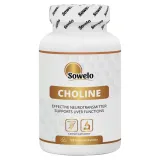 sowelo-cholina-500mg-120-tabletek-stan-nowy