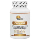 sowelo-cholina-500mg-120-tabletek-kod-producenta-scho-01