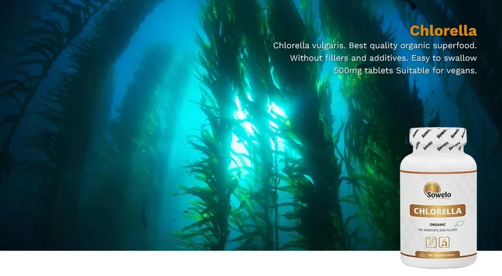 sowelo-chlorella-organic-500mg-200-tabletek-postac-tabletki