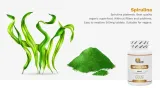 sowelo-spirulina-organic-500mg-200-tabletek-rodzaj-spirulina