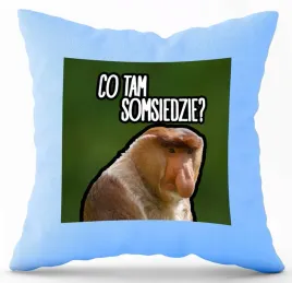 poduszka-jasno-niebieska-pdm-smieszne-20-prezent