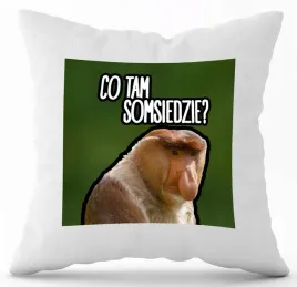 poduszka-z-nadrukiem-biala-pdm-smieszne-20-prezent