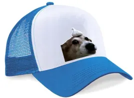 czapka-z-daszkiem-pdm-smieszne-04-niebieska
