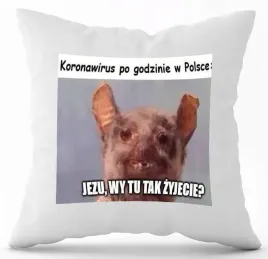 poduszka-z-nadrukiem-biala-pdm-smieszne-48-prezent