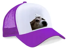 czapka-z-daszkiem-pdm-smieszne-04-fioletowa