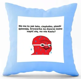 poduszka-jasno-niebieska-pdm-smieszne-46-prezent