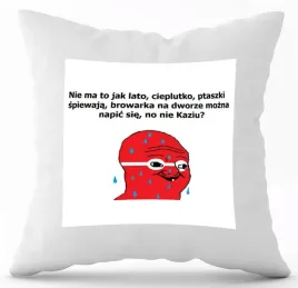poduszka-z-nadrukiem-biala-pdm-smieszne-46-prezent