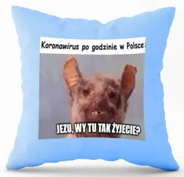 poduszka-jasno-niebieska-pdm-smieszne-48-prezent