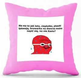 poduszka-rozowa-nadruk-pdm-smieszne-46-prezent