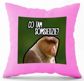 poduszka-rozowa-nadruk-pdm-smieszne-20-prezent