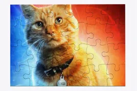 foto-puzzle-24-el-kot-03-prezent