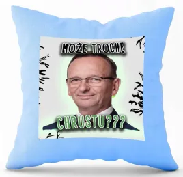 poduszka-jasno-niebieska-pdm-politycy-03-prezent