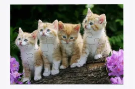 foto-puzzle-24-el-pies-01-prezent