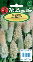 legutko-trawa-dekoracyjna-dmuszek-jajowaty-slomkowa-0-2g-nasiona