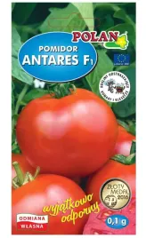 pomidor-antares-f1-wczesny-wyjatkowo-odporny-plenny-nasiona-polan
