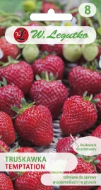 truskawka-temptation-do-pojemnikow-nasiona-legutko