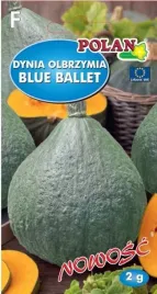 dynia-olbrzymia-blue-ballet-2-g-nasiona-polan