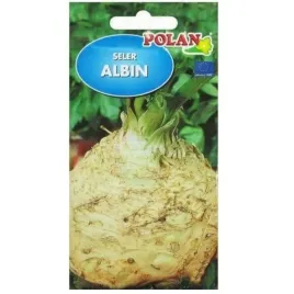seler-korzeniowy-duzy-albin-nasiona-polan