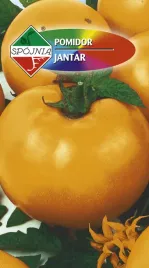 pomidor-wysoki-jantar-zoltopomaranczowy-wczesny-nasiona-spojnia