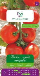 pomidor-moneymaker-czerwone-owoce-nasiona-legutko