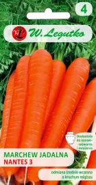 marchew-srednio-wczesna-nantes-3-nasiona-5g-w-legutko