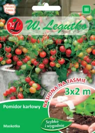 nasiona-na-tasmie-pomidor-karlowy-wiotkolodygowy-maskotka-wczesna-legutko