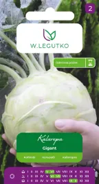 legutko-kalarepa-gigant-jasnozielona-zgrubienia-b-duze-3-5-kg-pozna