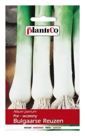 por-wczesny-bulgaarse-reuzen-na-zbior-letni-nasiona-1g-plantico