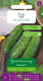 ogorek-gruntowy-konserwowy-octopus-f1-srednio-wczesny-nasiona-legutko