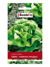 salata-maslowa-zimujaca-zina-nasiona-1g-plantico