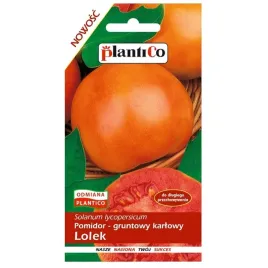 pomidor-karlowy-lolek-nasiona-do-dlugiego-przechowywania-plantico