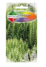 rozmaryn-nasiona-01g-spojnia