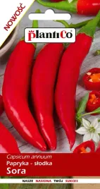 papryka-slodka-sora-wczesna-czerwona-podluznanasiona-plantico