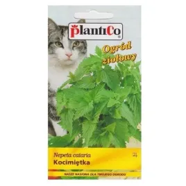 kocimietka-roslina-bylinowa-wieloletnia-nasiona-plantico