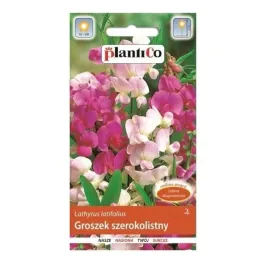 groszek-szerokolistny-mieszanka-kolorow-2g-bylina-nasiona-plantico
